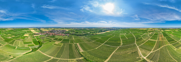 360° VR Luftbildpanorama der Weinberge vor Westhofen in der Rheinpfalz