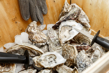 Oysters shells and a knife in a basket on ice