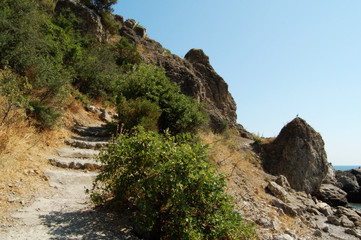 sea, rocks, trees and sky