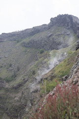 Mt Vesuvius 