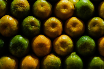 A store selling only indian oranges. Raw and ripe green and yellow oranges in rows.
