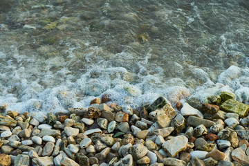 Regional Park of Porto Selvaggio in Salento - detail - Italy