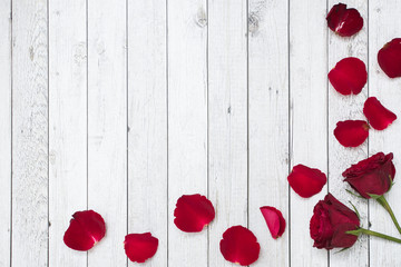 white wood background with roses and petals