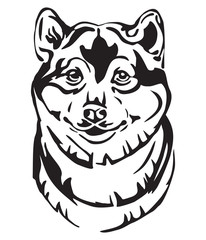 Decorative portrait of Dog Shiba Inu vector illustration
