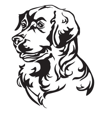 Decorative portrait of Dog Golden Retriever vector illustration