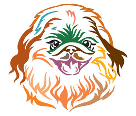 Colorful decorative portrait of Dog Pekingese vector illustration
