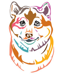 Colorful decorative portrait of Dog Shiba Inu vector illustration