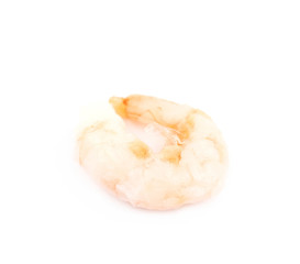 Canned shrimp isolated