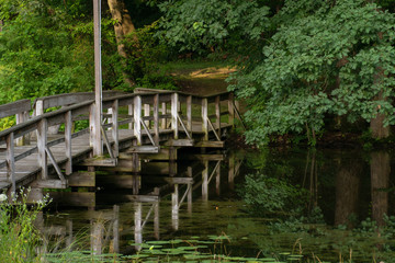 Fototapeta na wymiar A Bridge in the Park