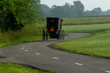 Buggy on a Winding Road