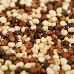 Surface coated with the quinoa seeds