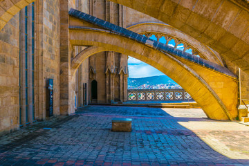 Rooftop of the cathedral in Palma de Mallorca, Spain © dudlajzov