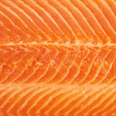 Close-up fragment of salmon fish