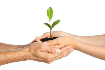 Woman and man holding soil with green plant in hands on white background. Family concept