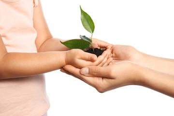 Woman and her child holding soil with green plant in hands on white background. Family concept