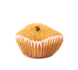 Chocolate corn muffin isolated