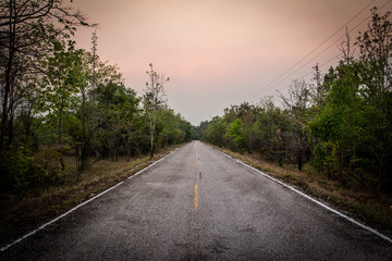 Landscape of empty road along the forest.