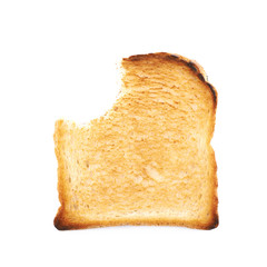 Toasted white bread isolated
