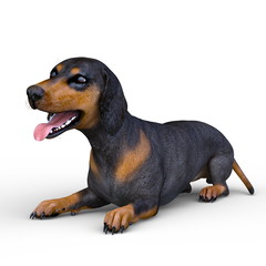 ダックスフント