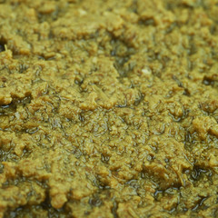 Surface coated with the green pesto