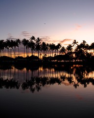 Obraz premium Hawaiian Sunsets