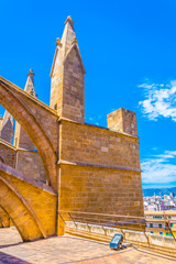 Rooftop of the cathedral in Palma de Mallorca, Spain © dudlajzov