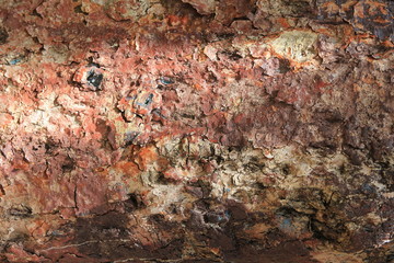 Close - up of beautiful textured bark of a tropical tree