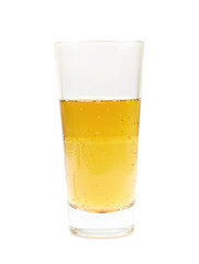 Tall glass of lager beer isolated