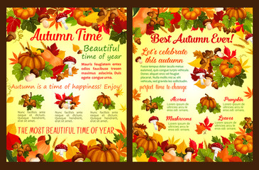 Autumn acorn leaf, pumpkin vector fall poster