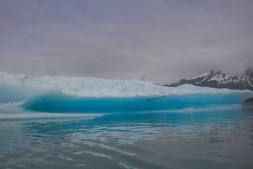 Glaciers in kenai fyords national park