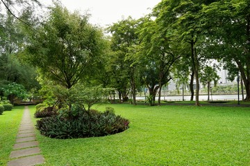 Green meadow with trees in park, Space for text in template, Empty concept, Natural green wallpaper, Ecological Concept