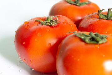 tomatoes on white background