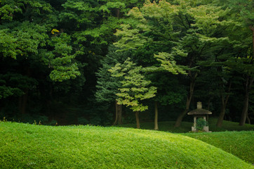 Beautiful green japanese landscape