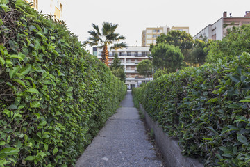 Naklejka premium Perspective bottom shot of relaxing garden stone road between buildings in Izmir at Turkey
