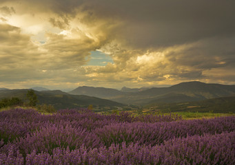 Stormy moment in france over lavender