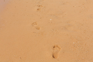 Fototapeta na wymiar Beach with foot prints on sand