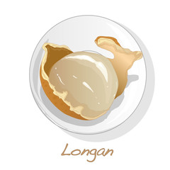Longan, Dimocarpus longan.  Vector illustration of longan berry on the plate.