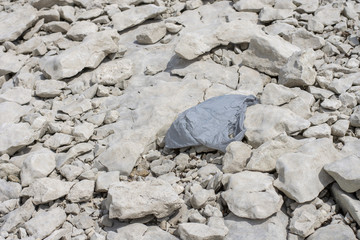 old grocery bag littering lake shore