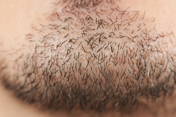 Black hair of man beard