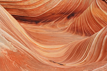 The Wave close up, Arizona