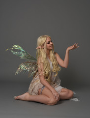 full length portrait a blonde girl wearing fairy costume. seated pose, on grey studio background. - obrazy, fototapety, plakaty