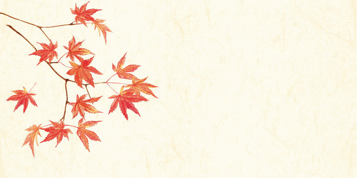 紅葉水彩　和紙背景