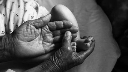 fourth generation family life. old grandmother hands holding newborn feet, black and white shot, the concept of a family and a new life into a selective focus