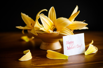 Yellow Lily flowers and buds