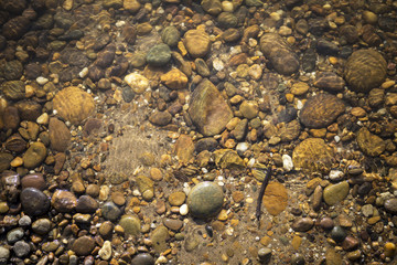 Stone under clear river water, nature concept background