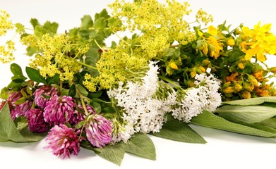 Naturheilkunde, Frauenheilkunde