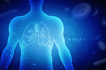 Healthy Human Lungs 3d illustration
