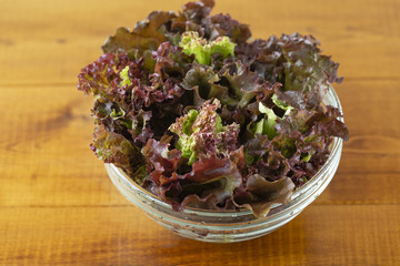 Full bowl of fresh green salad  close up. Concept helpful and simple food