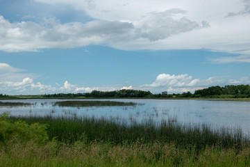 Marsh land in Saskatchewan, Canada.