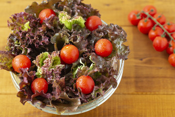 Fototapeta na wymiar Full bowl of fresh green salad with tomatoes close up. Concept helpful and simple food